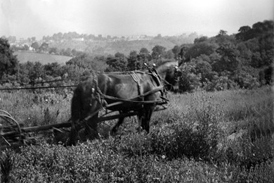 Front of WCM building showing the RCA sign.