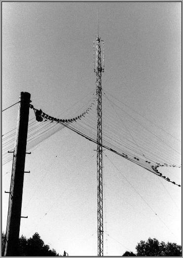 WJG - Log Periodic Antenna